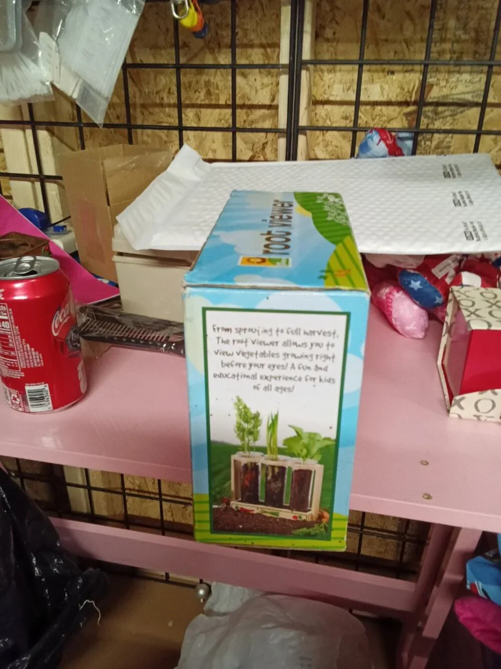 Our Garden Root Viewer Kit with Seeds and Wooden Holder